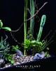 訂製花禮-桌花-013號 訂製花禮-桌花-013號